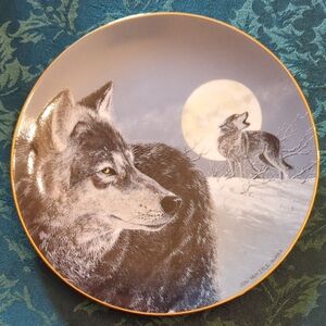 Princeton Gallery 'Arctic Majesty' Plate Collection "In the Eye of the Moon."